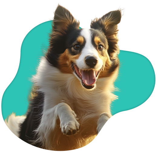 Mobile Icon