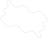 Reactanle Border
